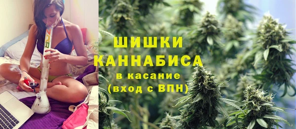 амф Арсеньев