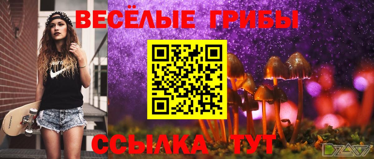 Псилоцибиновые грибы GOLDEN TEACHER Петропавловск-Камчатский