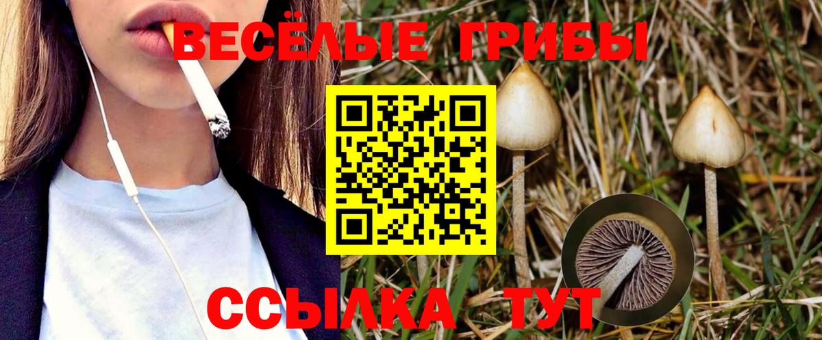 Петропавловск-Камчатский  Галлюциногенные грибы Psilocybine cubensis  Вход с VPN 